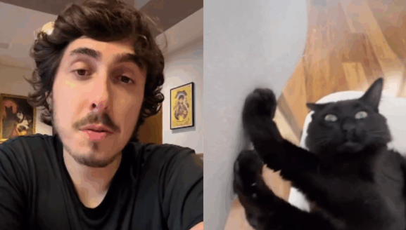 Felipe Castanhari alerta após morte de pet "Transformar em informação útil"